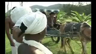 ���ဖြစ် Negrasႏွင့္ senzala